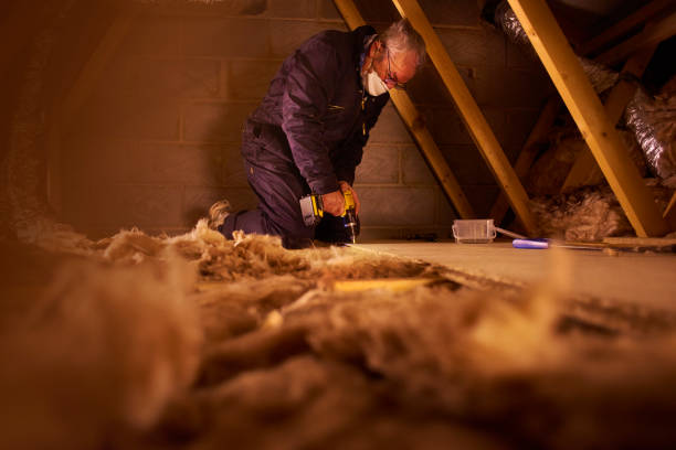 Best Basement Insulation  in Holtville, AL